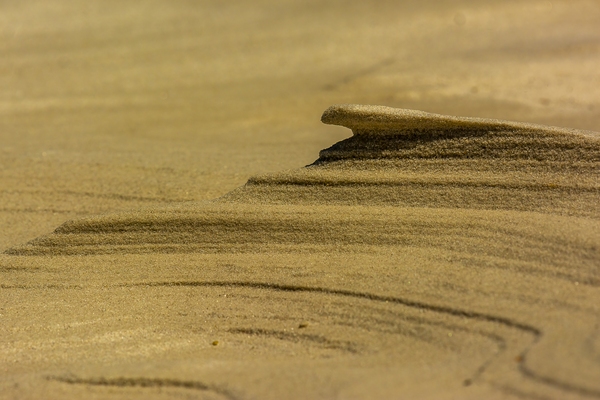 The wind carves interesting shapes in the sand.