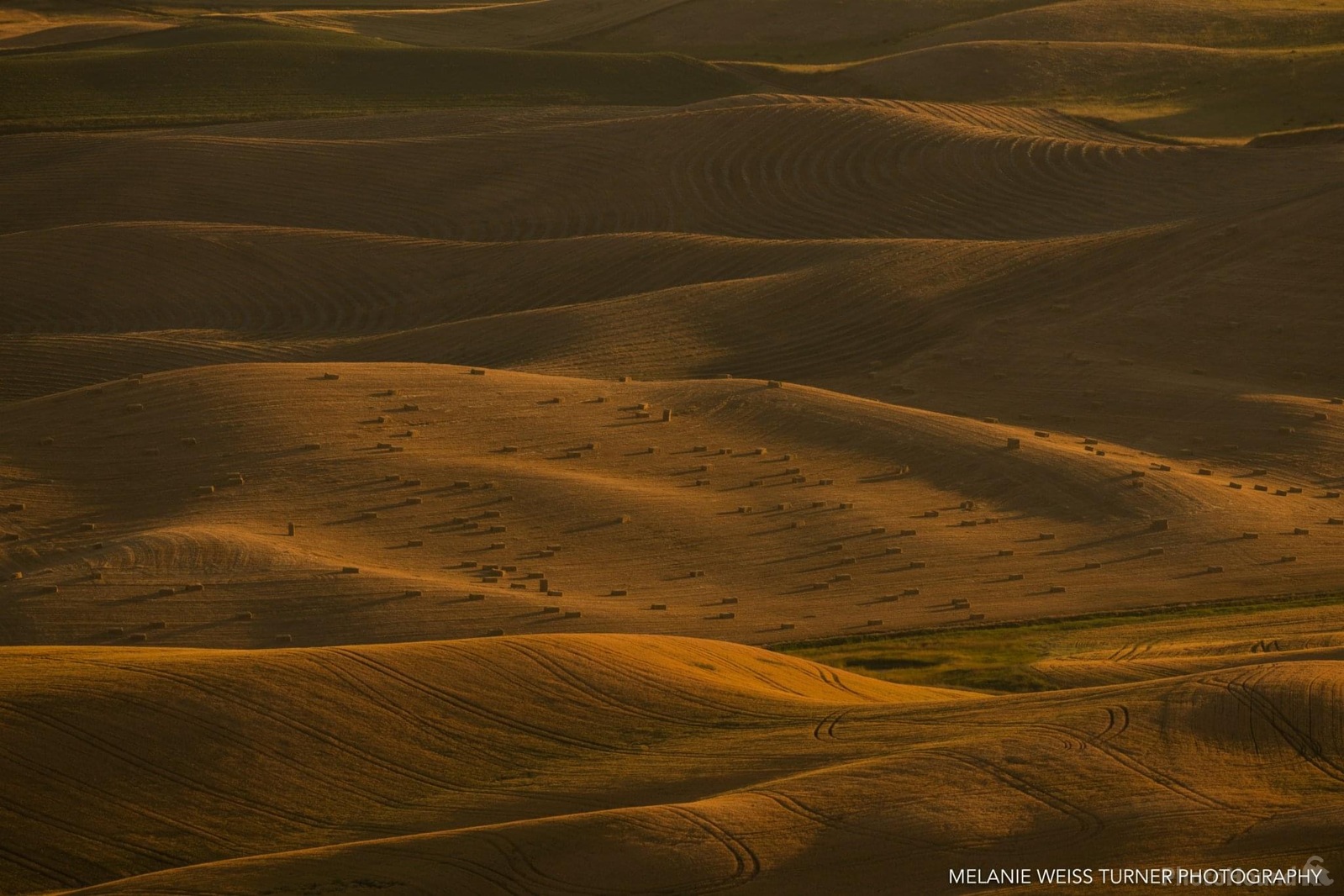 Image of South Steptoe Butte Viewpoint by Melanie Weiss-Turner