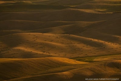 photos of Palouse - South Steptoe Butte Viewpoint