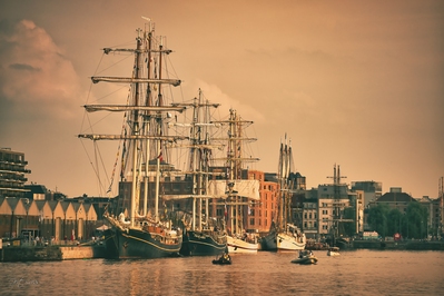 Picture of Antwerp Tall Ship Race - Antwerp Tall Ship Race