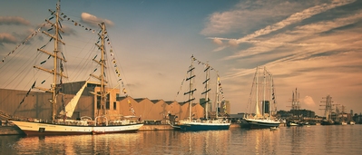 Image of Antwerp Tall Ship Race - Antwerp Tall Ship Race