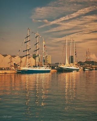 Picture of Antwerp Tall Ship Race - Antwerp Tall Ship Race