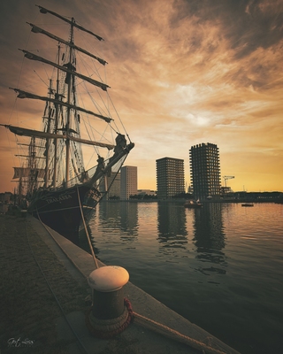 Image of Antwerp Tall Ship Race - Antwerp Tall Ship Race