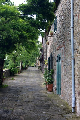 Picture of Cortona - Cortona