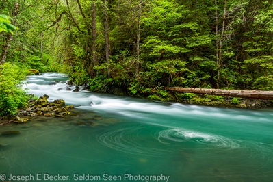 Quilcene instagram spots - Falls View Canyon Trail