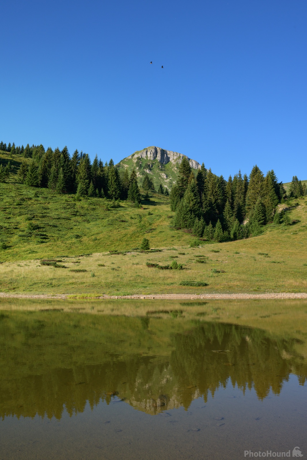 Image of Šiško Jezero (Lake Šiška) by Luka Esenko