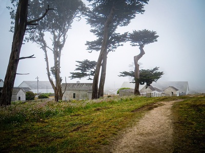 photography locations in California - Point Reyes National Seashore Trail