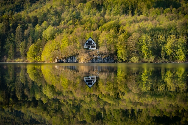 Lake Bohinj - Reflection