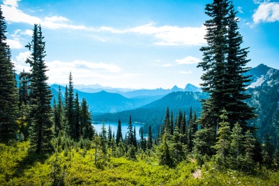 This was taken at the highest point on the Naches Peak Loop Trail. It looks down into the valley where Big and Little Dewey Lakes are found, and the connection to the Pacific Crest Trail.