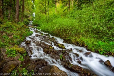 photography locations in Oregon - Wahkeena Falls - Lower Viewpoint