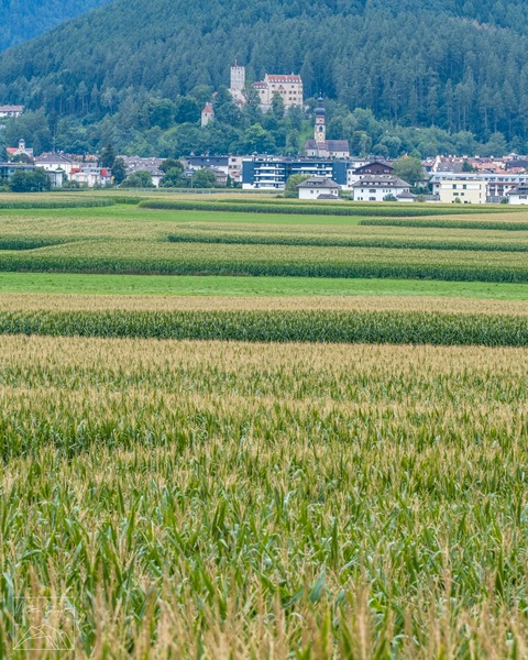 Bruneck and its fields