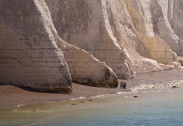 walking behind the Coastguard cottages, you can capture the distant beach, not getting too close the cliff edge, caution, it does often slide off and you don't want to get caught in a land slide.  
Canon EOS R, RF100-400mm f/5.6-8 is usm lens.
f/8 1/250 ISO100 0ev at 400mm (image is a super tight crop)
