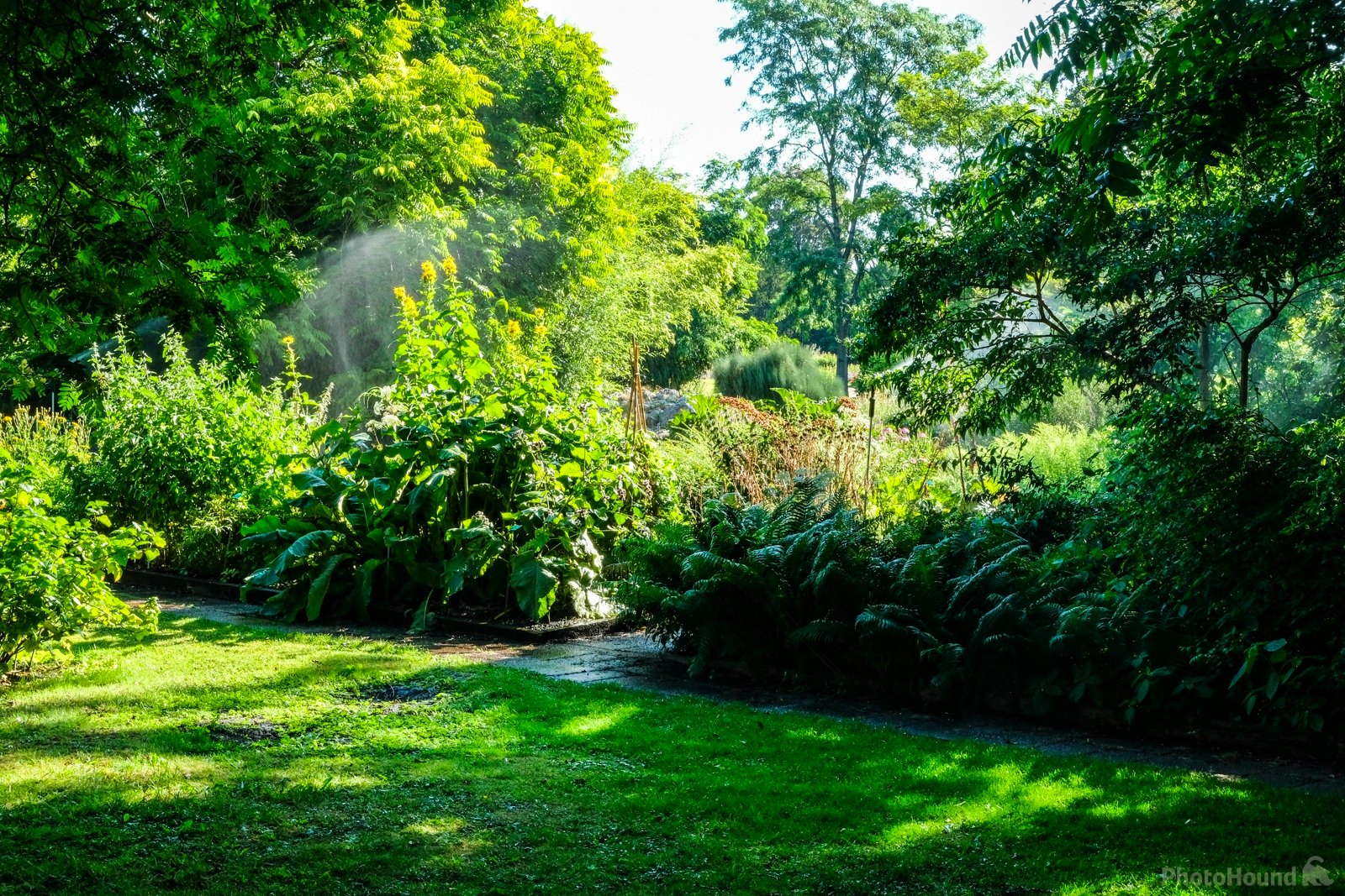 Image of Lund Botanical Garden by Arnie Lund
