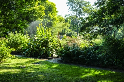 images of Sweden - Lund Botanical Garden