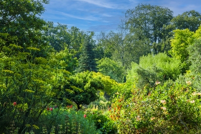 While the formal parts of the garden are beautiful, so is the wilder mix of flowers, shrubs, and trees.