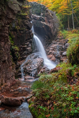 Picture of Flume Gorge - Flume Gorge