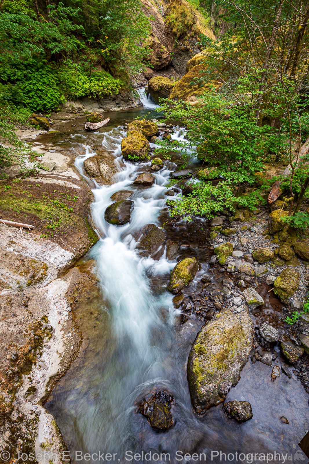 Image of Wahclella Falls Trail by Joe Becker