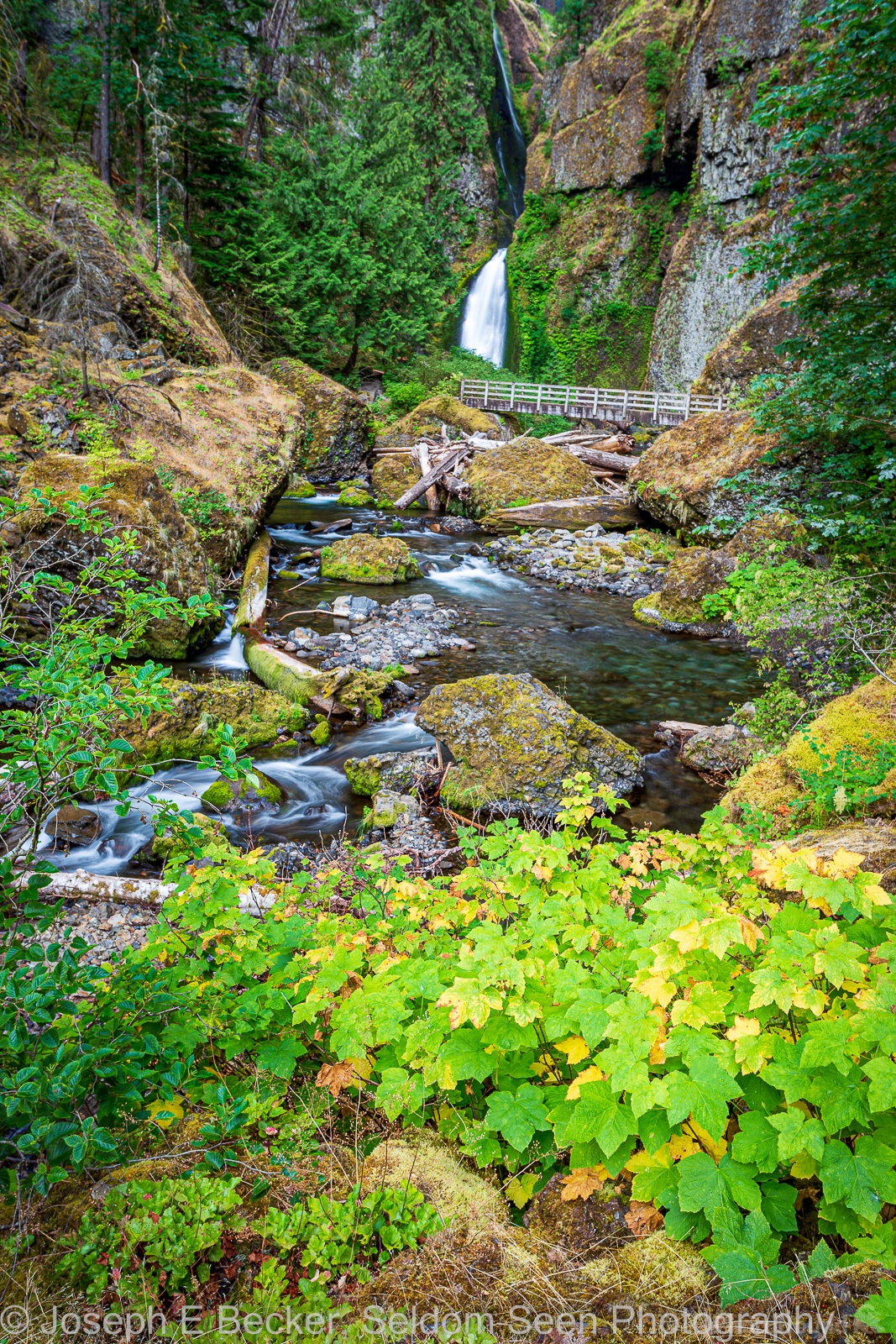 Image of Wahclella Falls Trail by Joe Becker