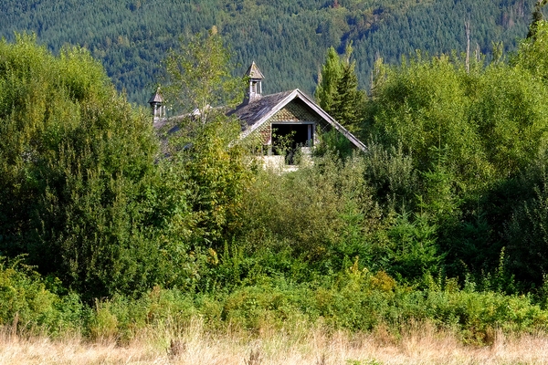 On entering the grounds I saw the roof of this old abandoned barn emerging from behind the treeline.