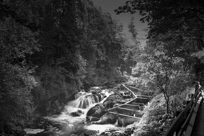 It was a challenge to get a good photograph of Tumwater Falls today. First of all, there are wildfires burning around the state and everything has a gray haze. Then all the recommendations for photographing falls say you should do it in the early morning or late afternoon. This was far enough away that I got there at noon, and the sun was blasting away on one side of the ravine and the other side was incredibly dark. If I got the water right other parts of the image were either washed out or were too dark to rescue. This area is just below the main upper Falls. The image isn’t perfect, but I liked how it captured the natural flow of the water and the human-made structure of the fish ladder.