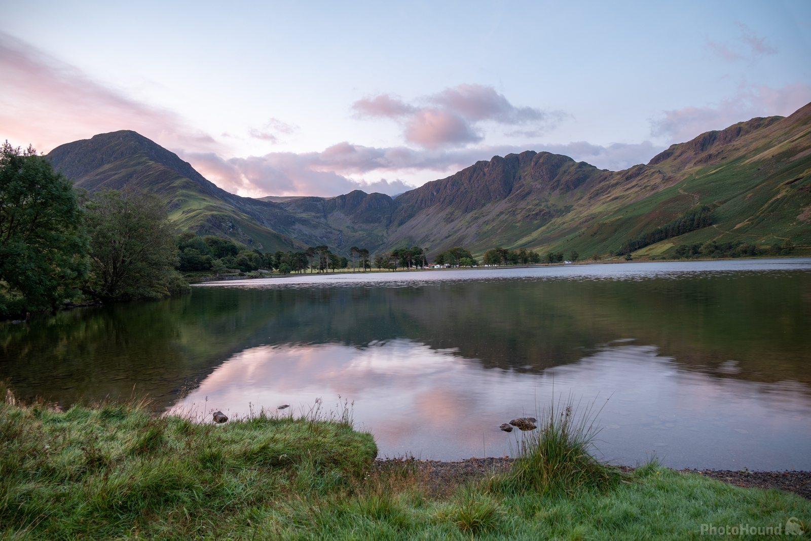 Image of Buttermere Pines, Lake District by Ian Slingsby
