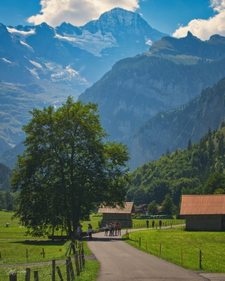 Switzerland images - Lauterbrunnen Valley promenade
