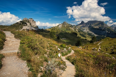 Switzerland instagram spots - Schynigge Platte Alpine Garden