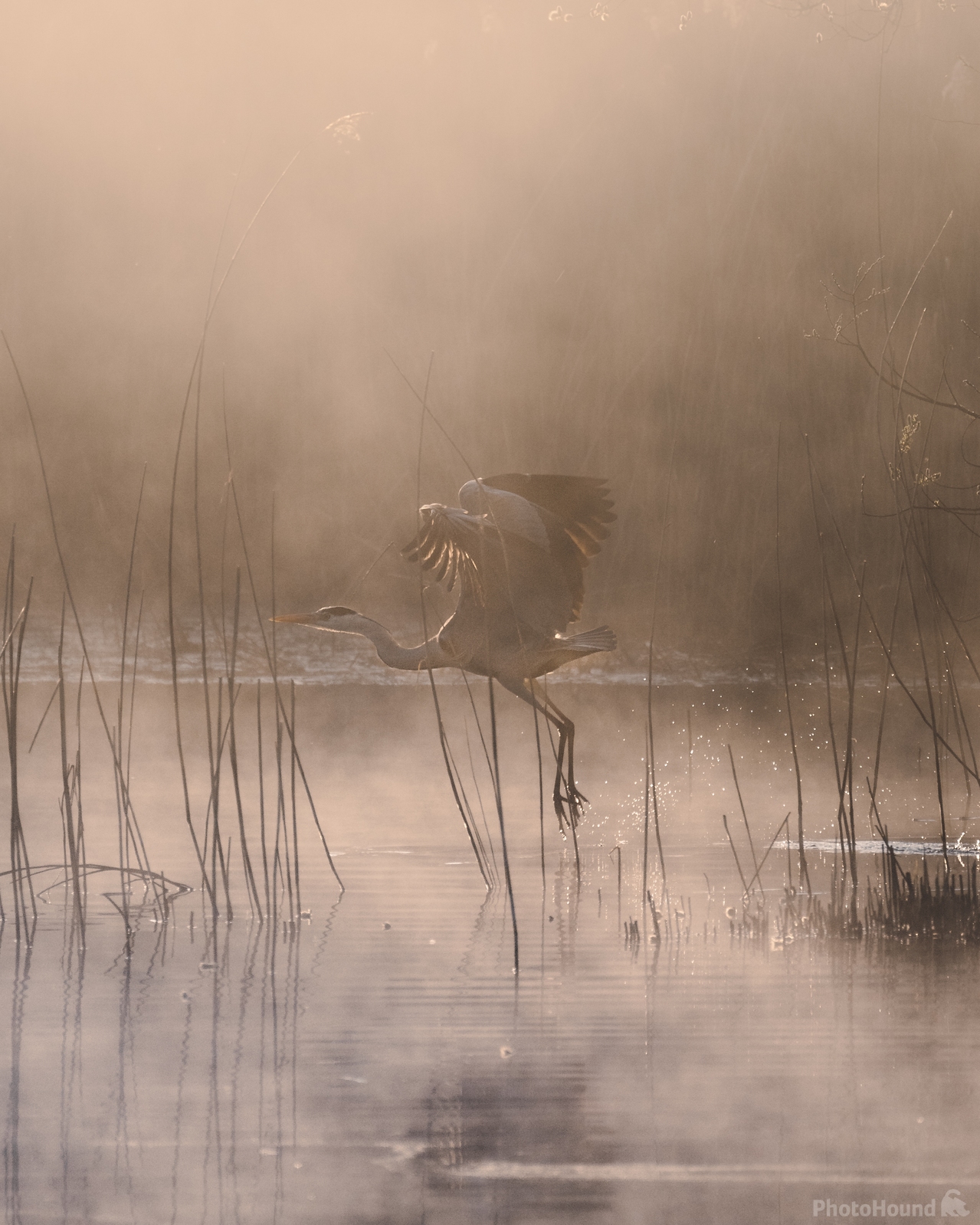 Image of Welsh Wildlife Centre by Daniel Phillips