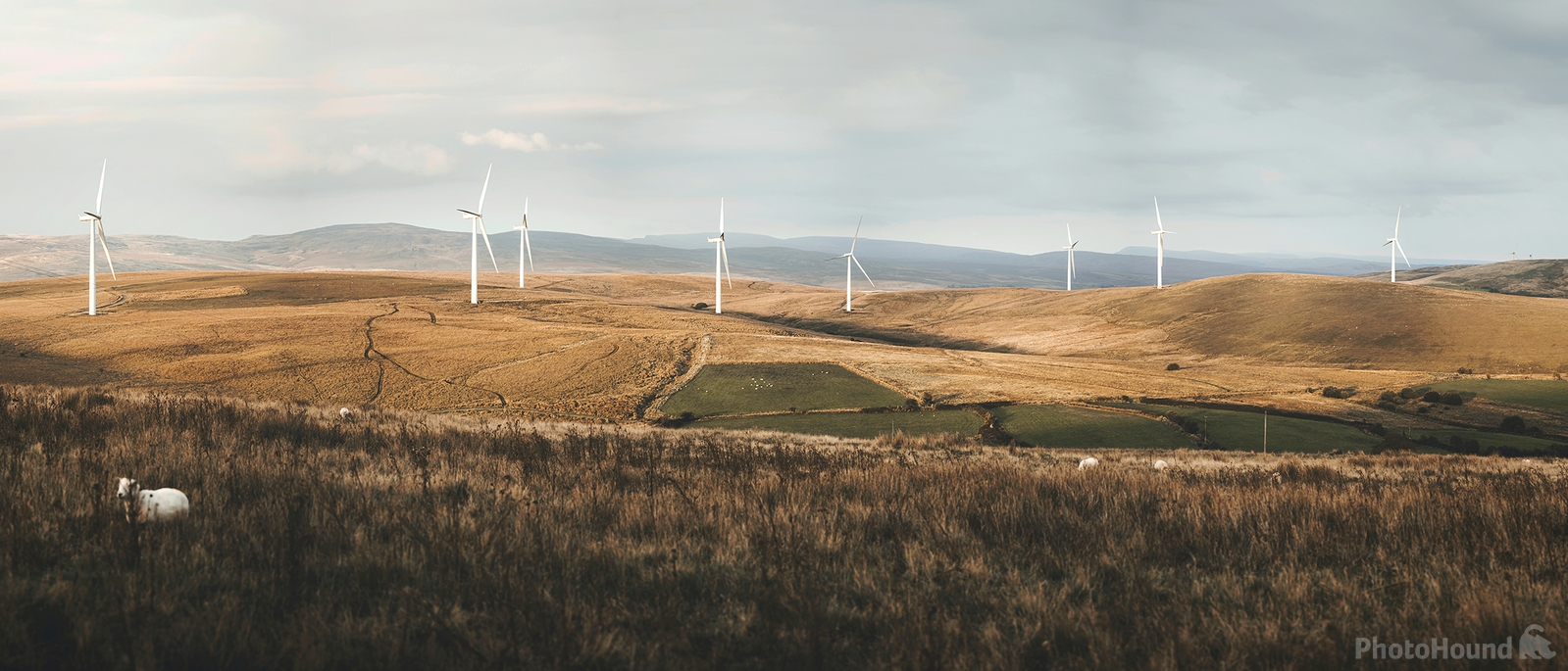 Image of Mynydd Y Betws Wind Farm - North View by Daniel Phillips