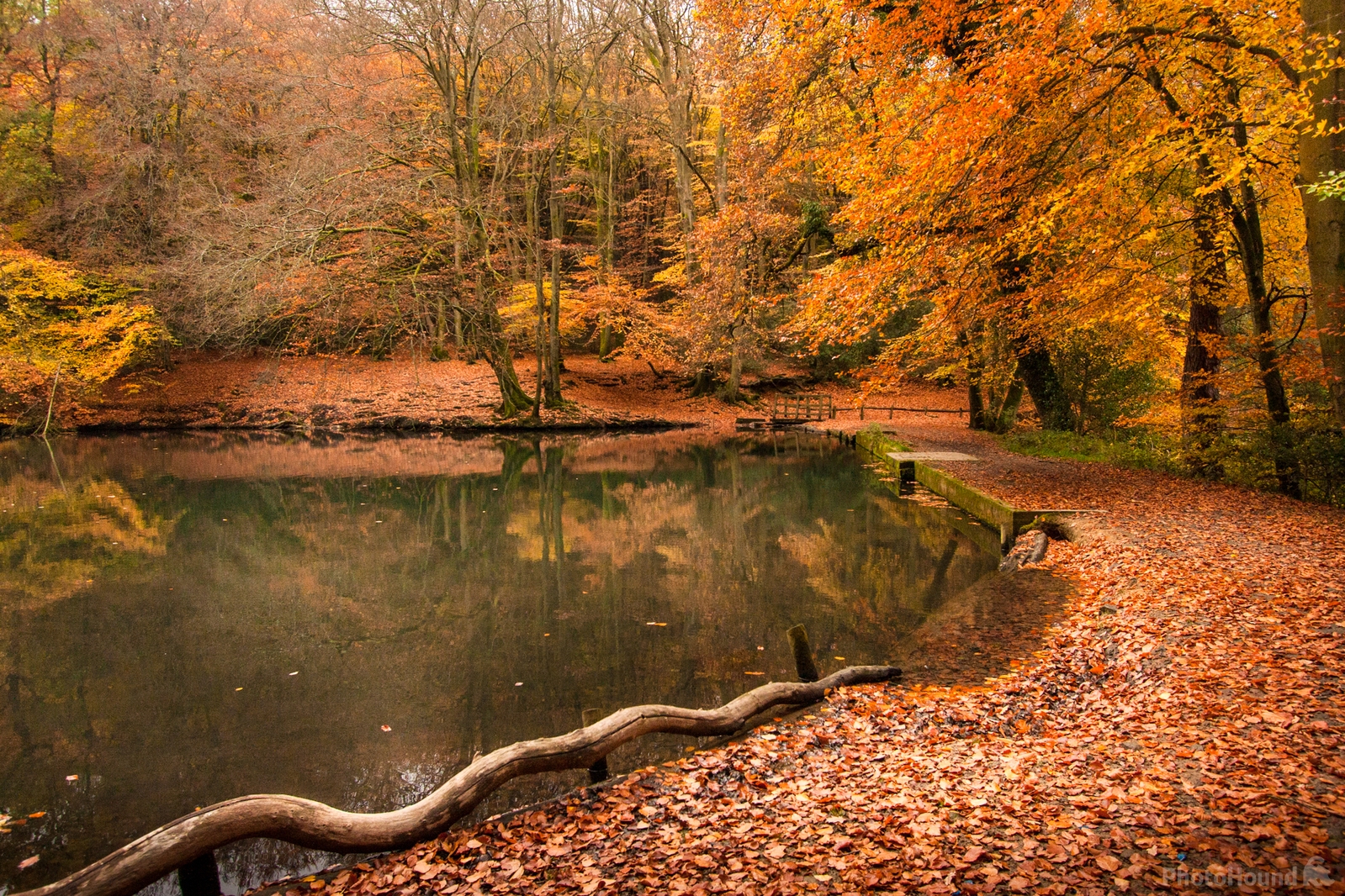 Image of Waggoners Wells, Grayshott by Nicky Rhodes