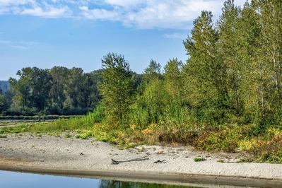 Picture of Snohomish River - Snohomish River
