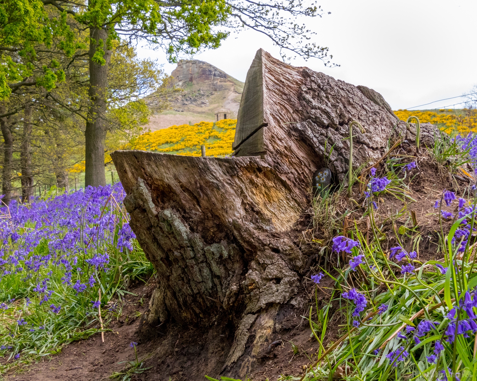 Image of Roseberry Topping by Andy Killingbeck