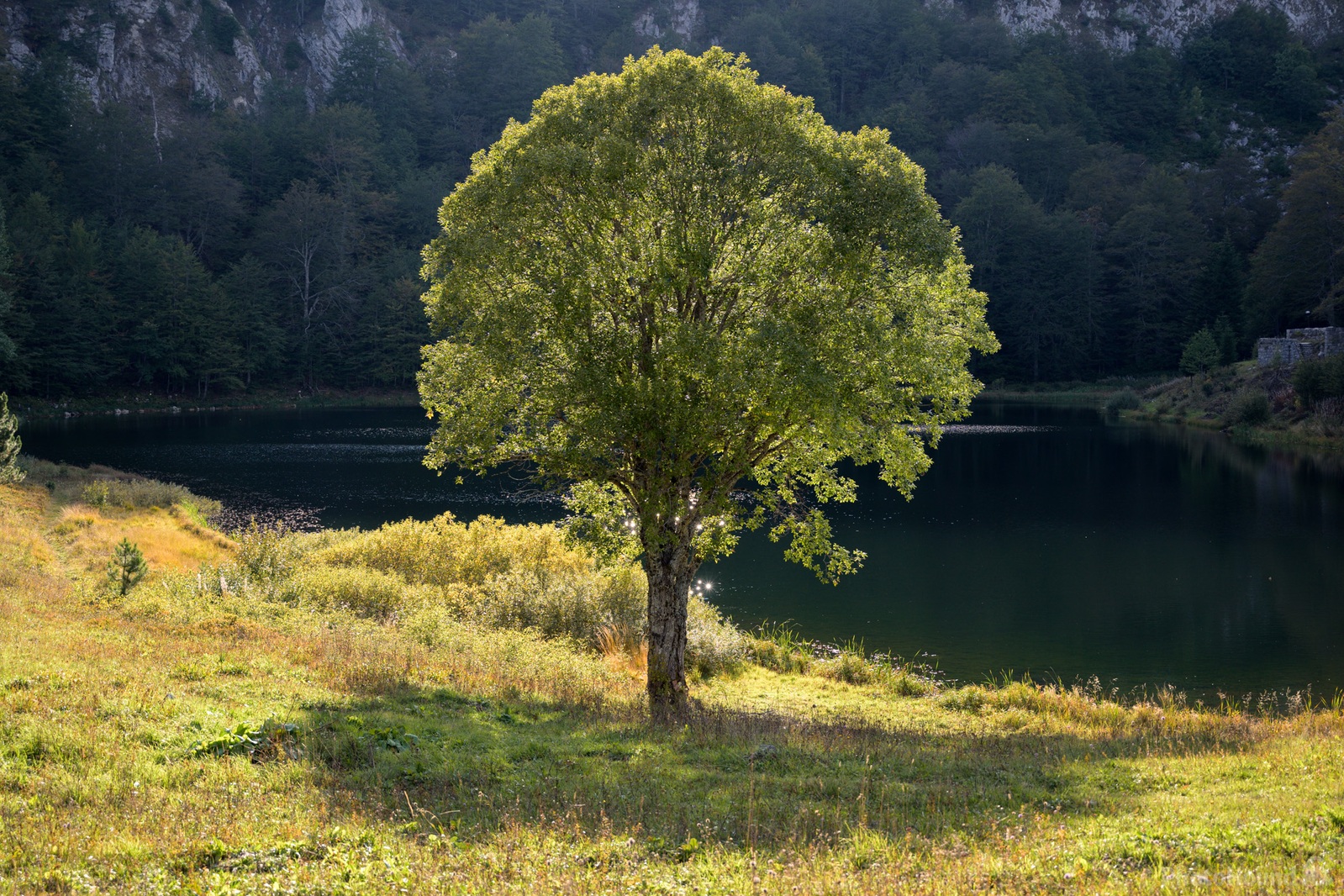 Image of Sutjeska NP Donje Bare Lake by Luka Esenko