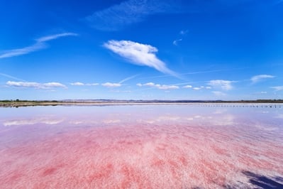 Bulgaria pictures - Lake Atanasovsko