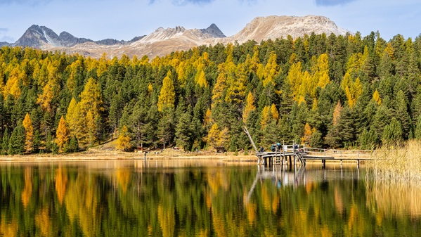 Autumn reflection at the lake