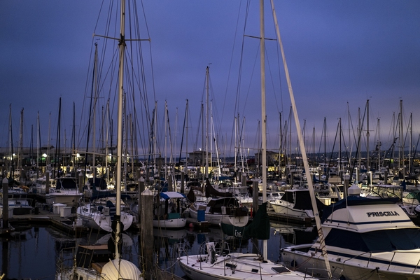 The wharf is next to an active harbor that houses both yachts and fishing boats.