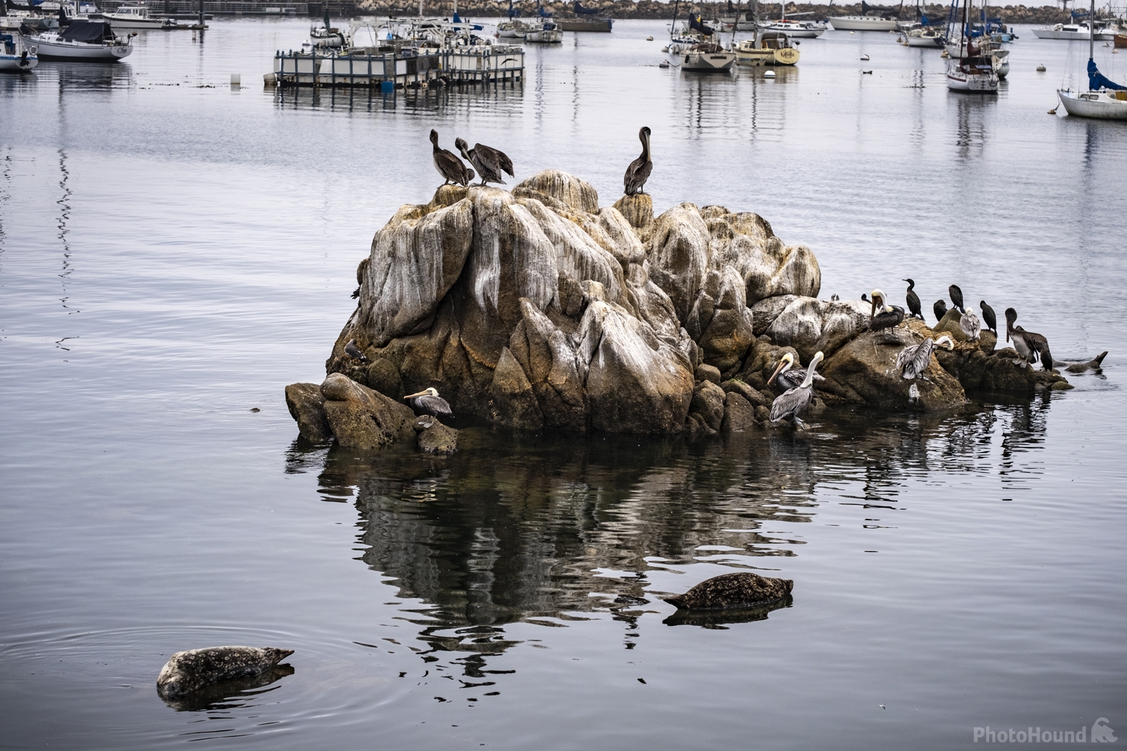 Image of Monterey\'s Old Fisherman\'s Wharf by Arnie Lund