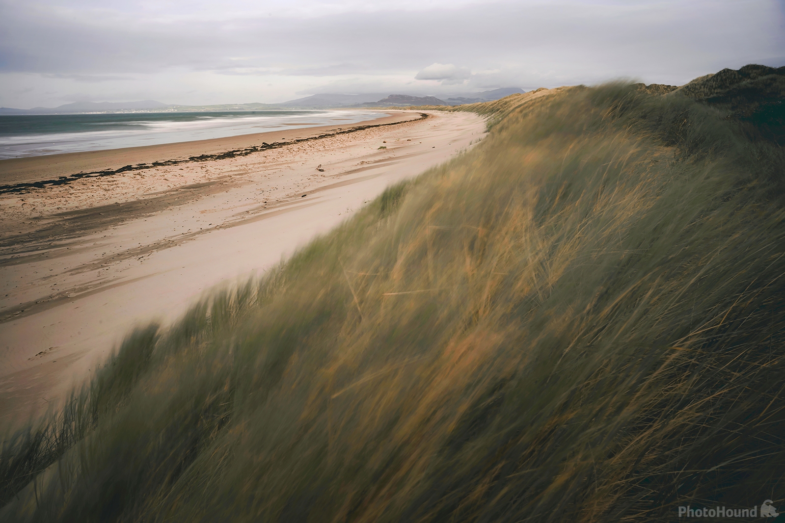 Image of Dunes of Harlech by Daniel Phillips