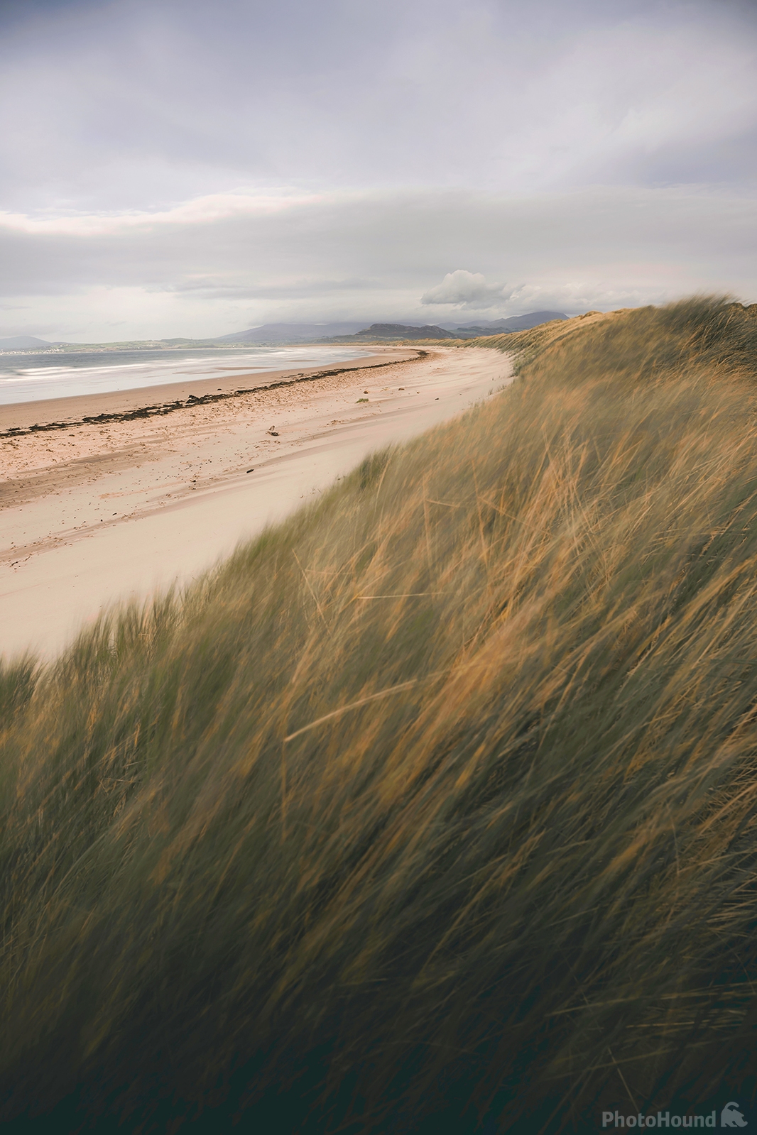 Image of Dunes of Harlech by Daniel Phillips