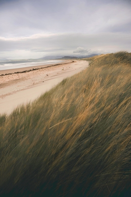 images of North Wales - Dunes of Harlech