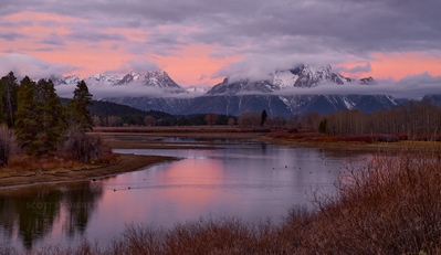 pictures of Grand Teton National Park - Oxbow Bend