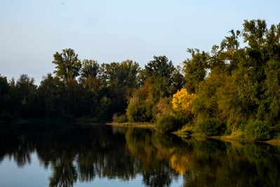 The Willamette River was very peaceful in the morning. This shot was taken near where the paddlewheel boat was docked.