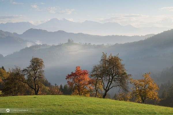 Autumn morning at St Thomas, Slovenia