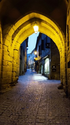 This is one of the main public entrances into Carcassonne castle & grounds. This avenue is particularly pretty at night/evening with shop lights lighting up the narrow winding path.
