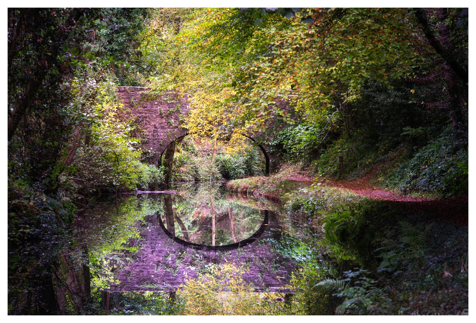 Image of Monmouthshire and Brecon Canal, Llanover by Charlie Hannah