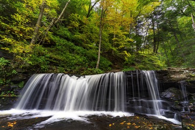 Picture of Ricketts Glen State Park - Ricketts Glen State Park