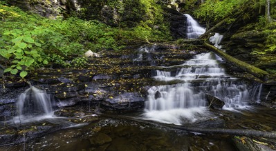 Photo of Ricketts Glen State Park - Ricketts Glen State Park