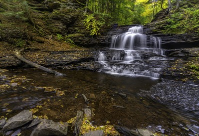 Picture of Ricketts Glen State Park - Ricketts Glen State Park