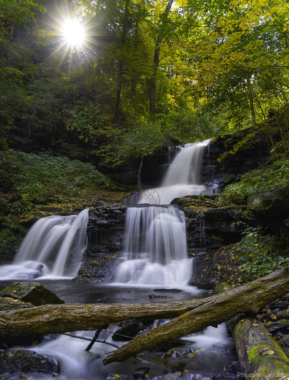 Image of Ricketts Glen State Park by Dave Fredrickson