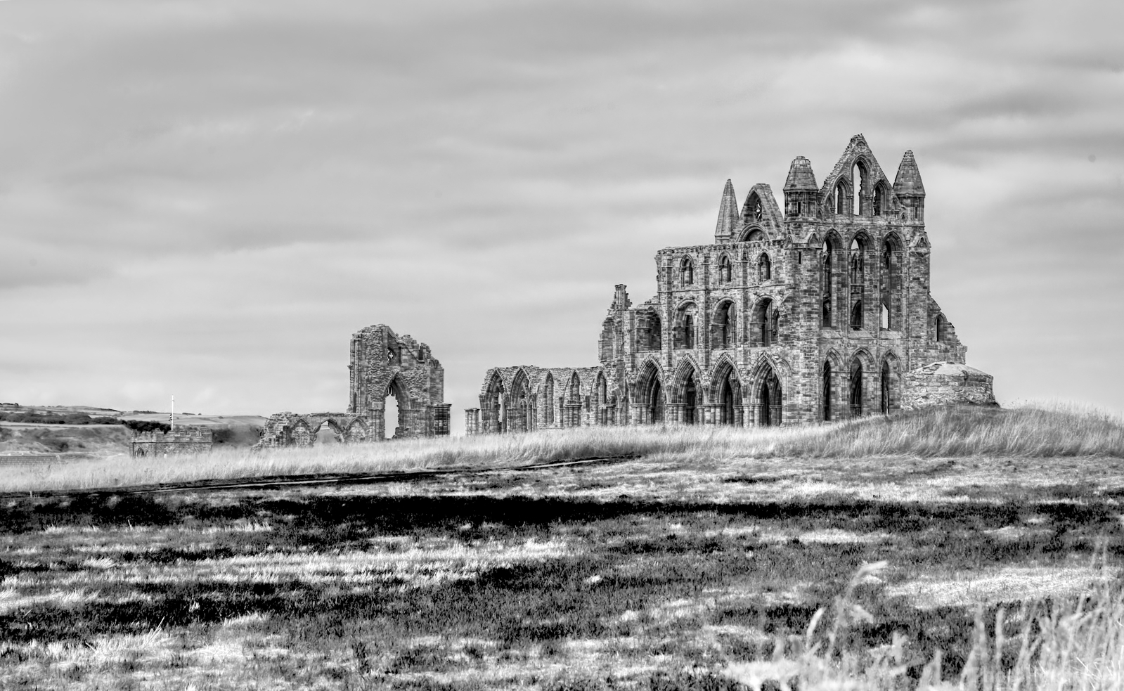 Image of Whitby Abbey by Steve Lang